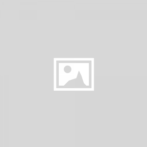 Zaščitni čevlji ARTRA AROSIO 730 Air 618080 S1 P ESD