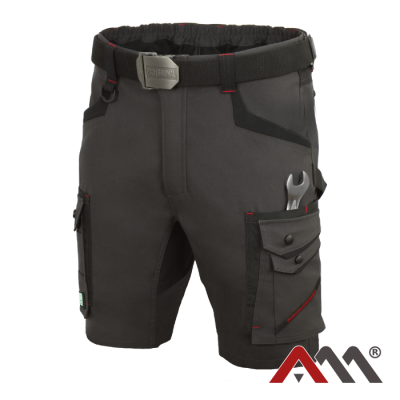 Kratke delovne hlače Professional 4DYNAMIC-4way 
