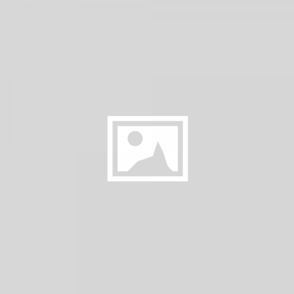 Zaščitni čevlji ARTRA AROSIO 730 Air 618080 S1 P ESD